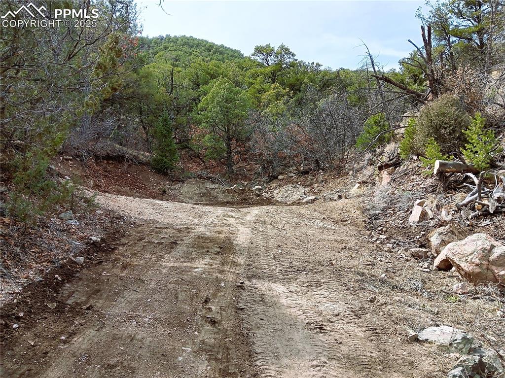 Image 17 of 20: Community