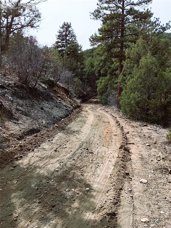 Image 19 of 20: Community