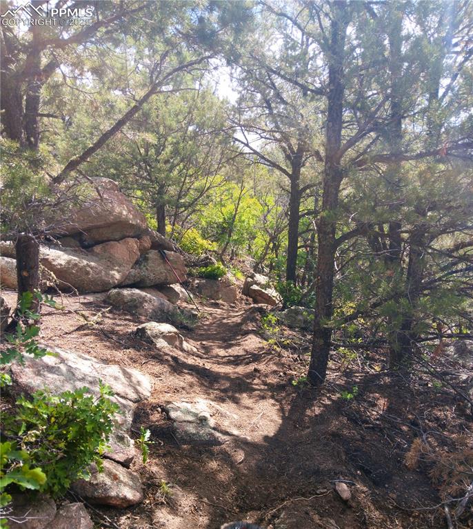 Image 5 of 20: Other