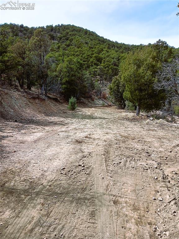 Image 8 of 20: Other