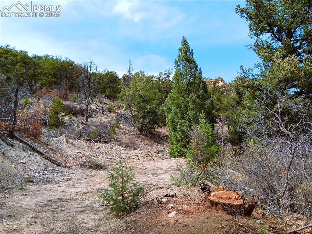 Image 9 of 20: Other