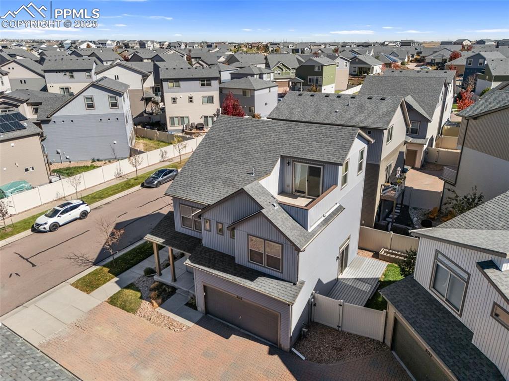 Image 45 of 50: Bird