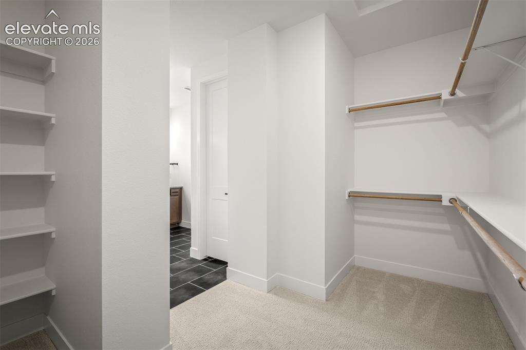 Image 27 of 45: Walk-in closet with light-toned carpet flooring, neutral walls, built-in sh