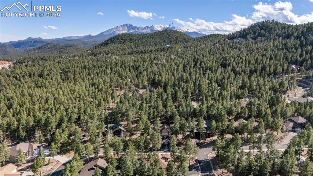 Image 40 of 46: Area Photo