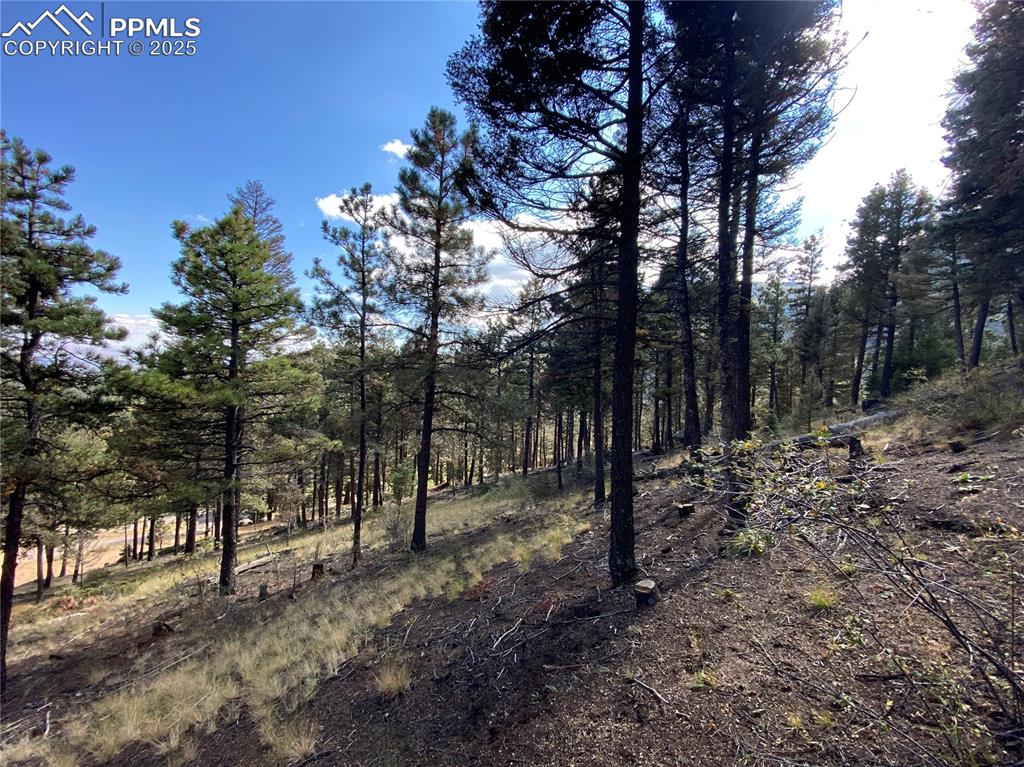 Image 10 of 24: From the Build Site looking Southeast