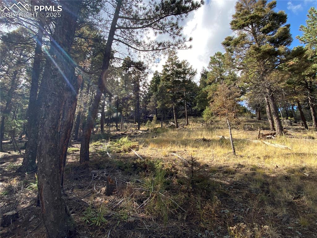 Image 13 of 24: Looking up at the Build Site!