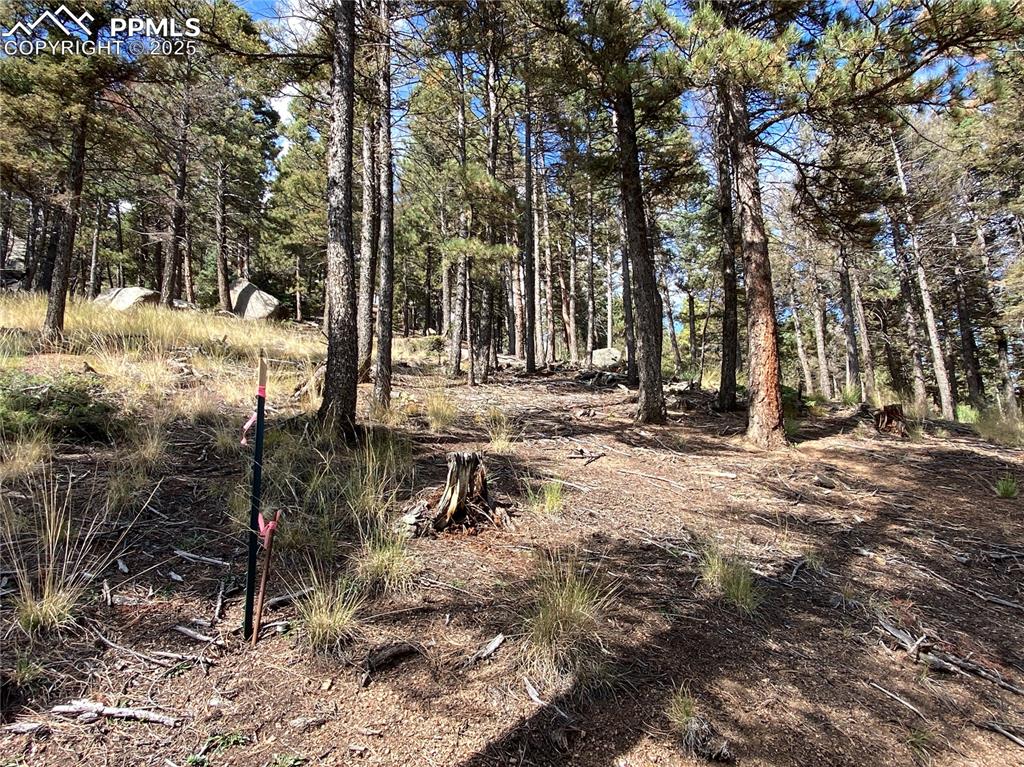 Image 14 of 24: Southeast corner pin of the lot.