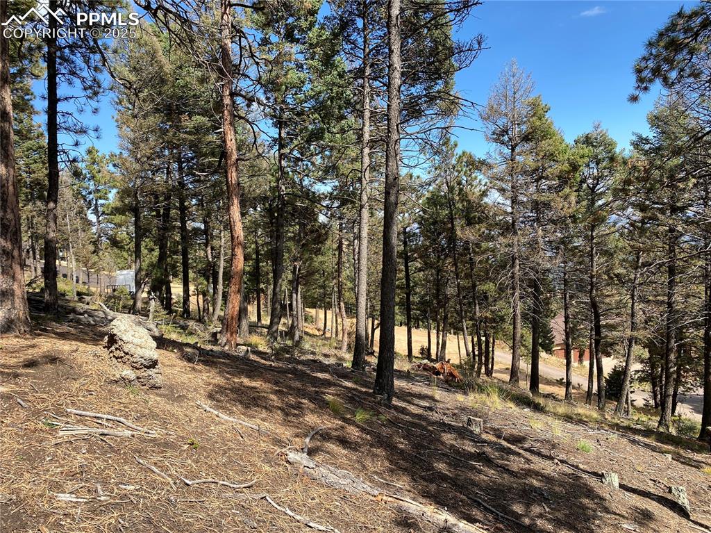 Image 16 of 24: View of lot