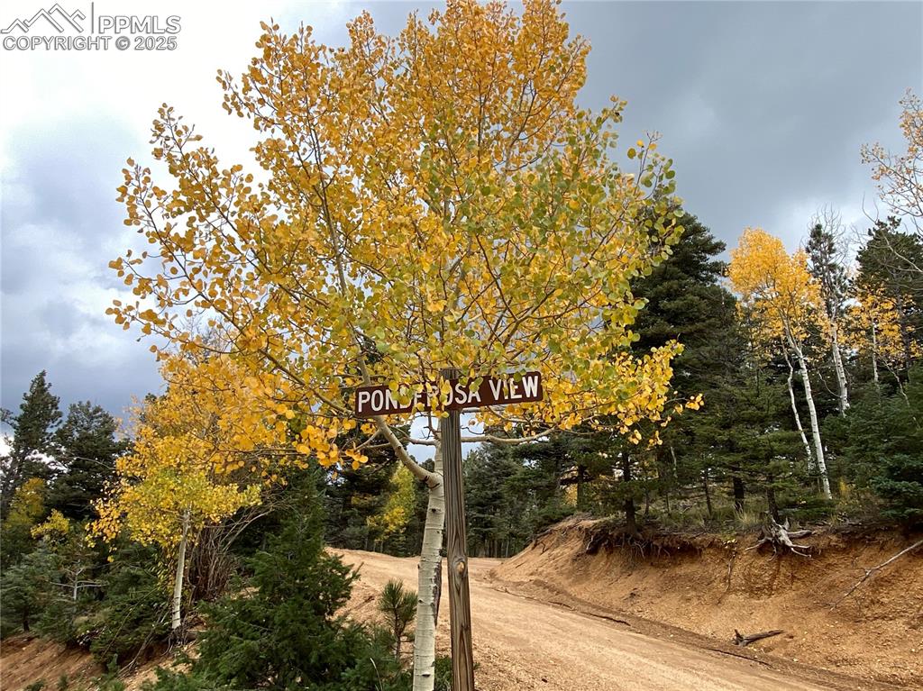 Image 18 of 24: Street entrance