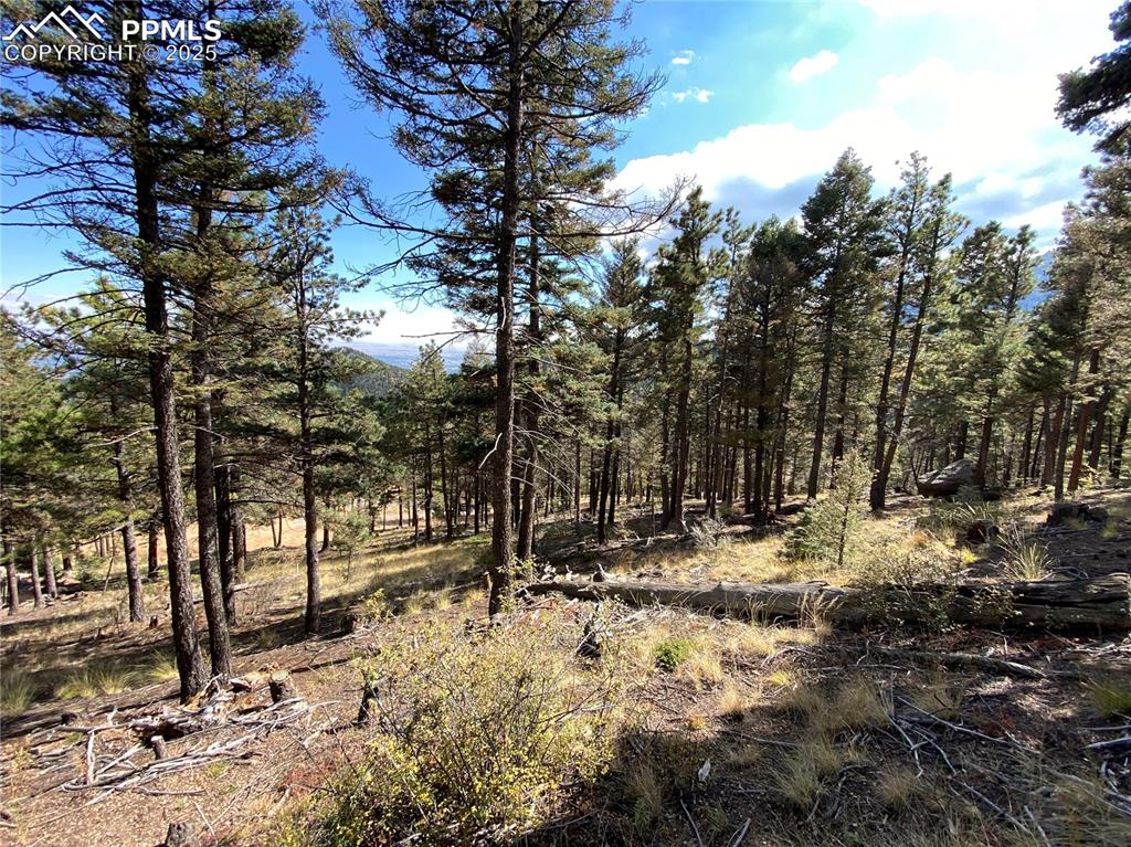 Image 4 of 24: Build Site!