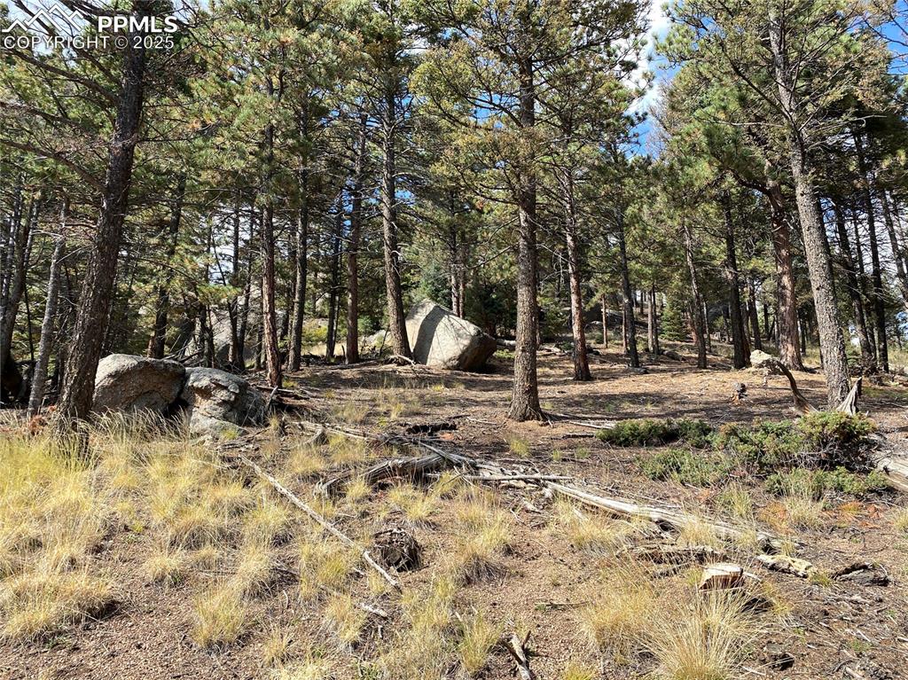 Image 5 of 24: Southside of the Lot featuring large boulders and rock outcroppings!