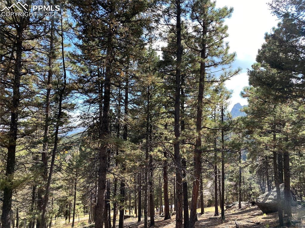 Image 8 of 24: Looking South from the Build Site!