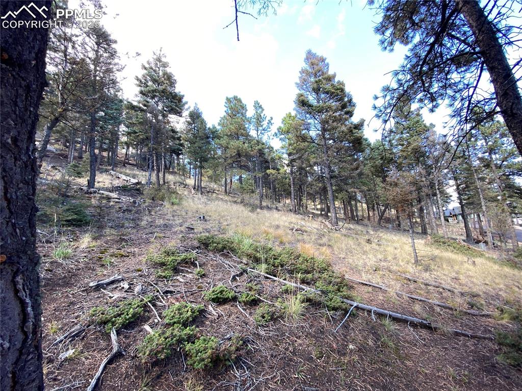 Image 9 of 24: Another Build Site view.