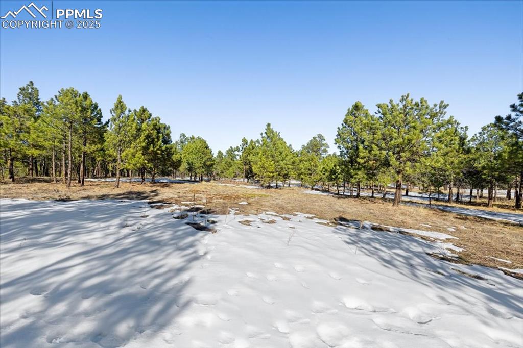 Image 10 of 25: Yard