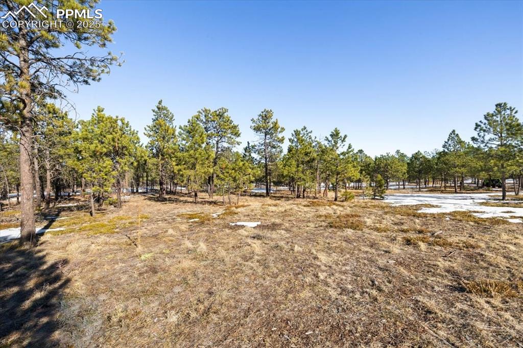 Image 11 of 25: Yard