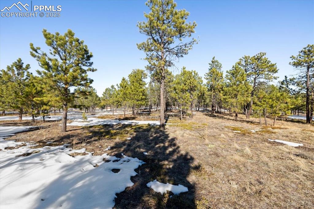 Image 12 of 25: Yard