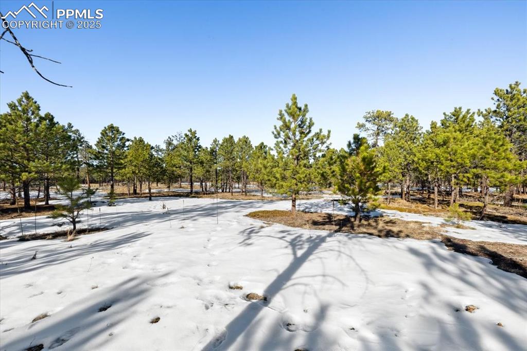 Image 13 of 25: Yard