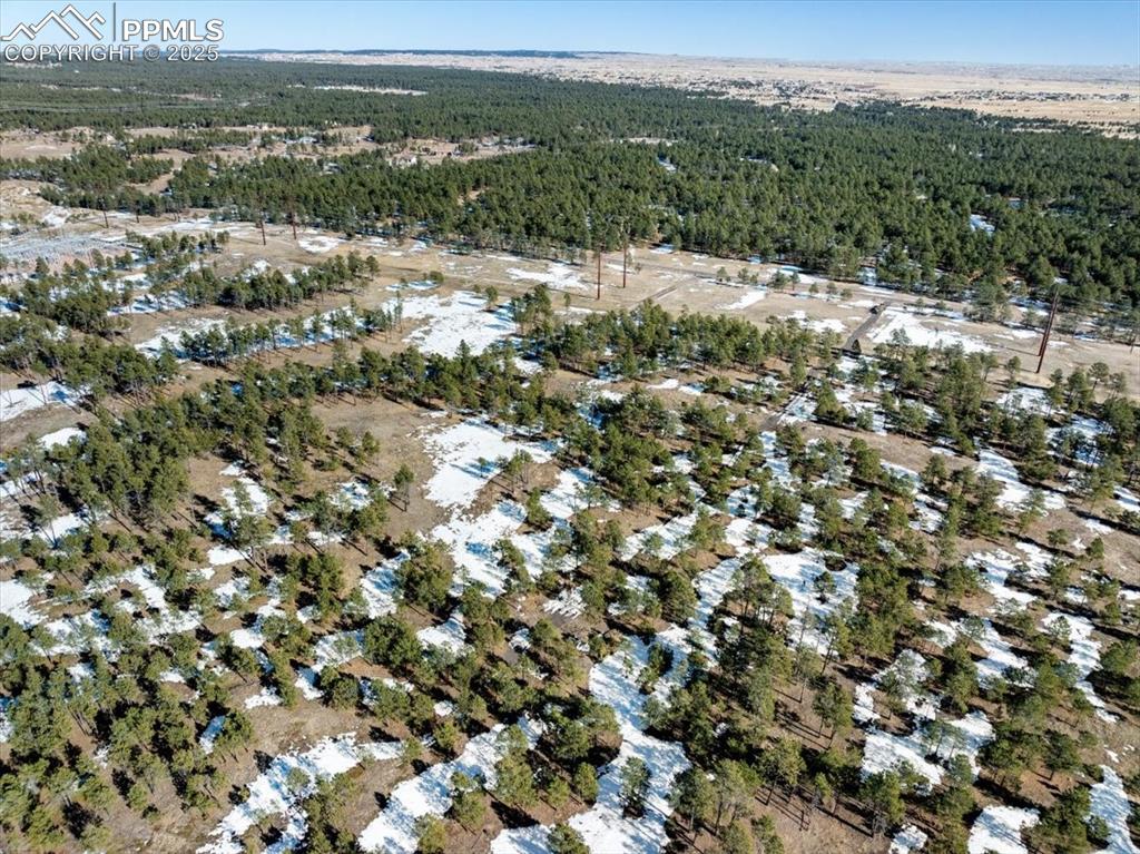 Image 14 of 25: Birds eye view of property with a forest view