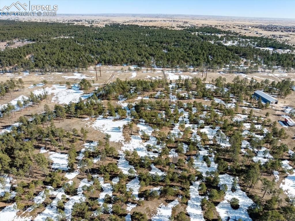 Image 15 of 25: Bird