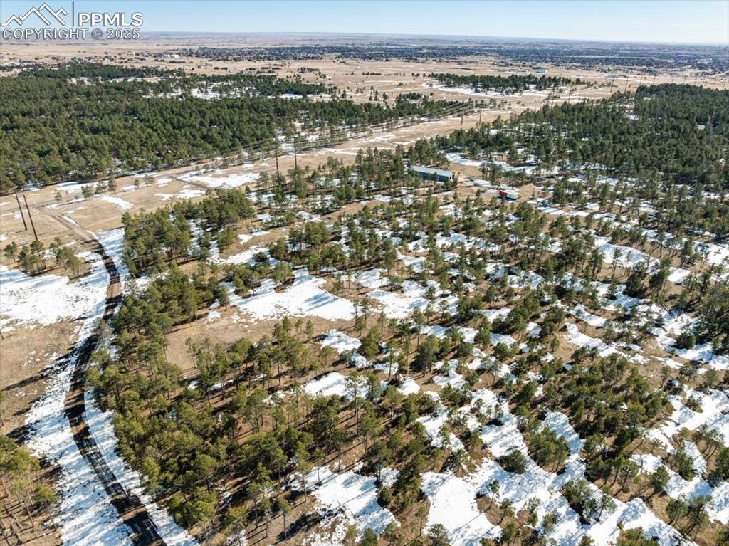 Image 16 of 25: Birds eye view of property with a wooded view