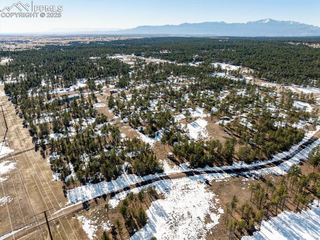 Image 19 of 25: Drone / aerial view featuring a forest view and a mountain view