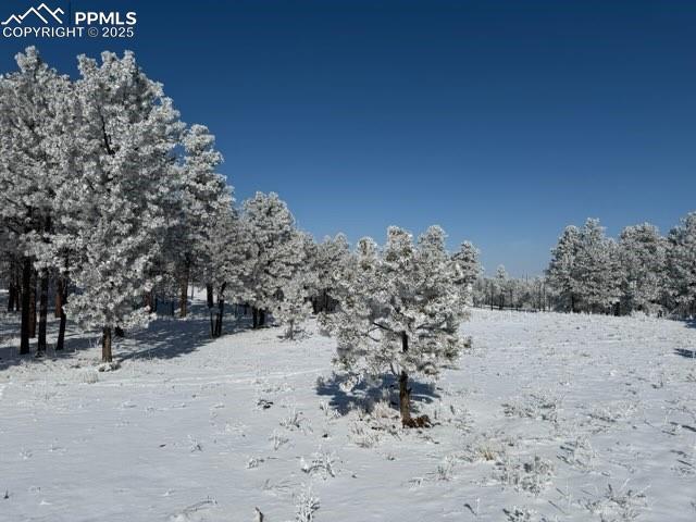 Image 2 of 25: View of snowy yard