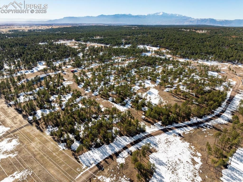 Image 20 of 25: Bird