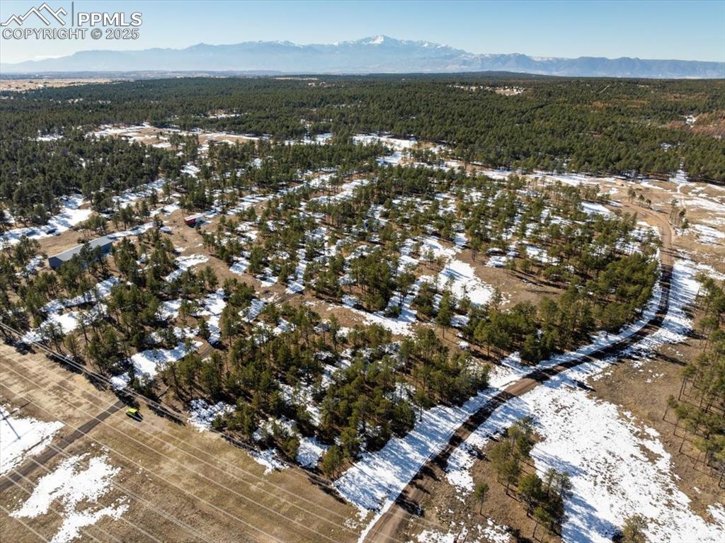 Image 21 of 25: Aerial view featuring a wooded view and a mountain view