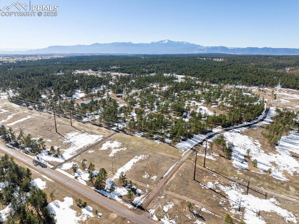 Image 24 of 25: Aerial view with a view of trees and a mountain view