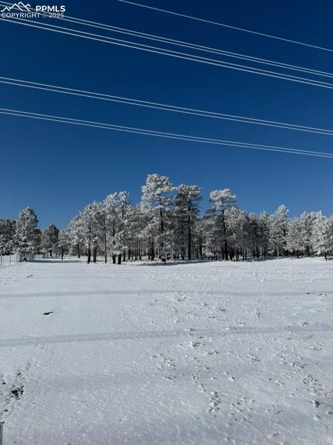 Image 3 of 25: View of community
