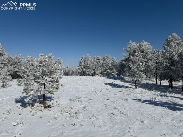 Image 5 of 25: View of yard covered in snow