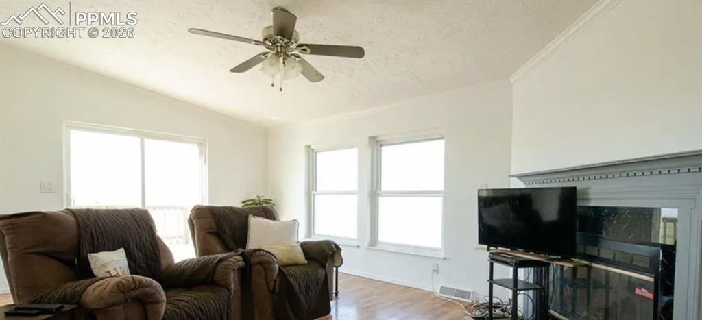 Image 10 of 33: Living Room