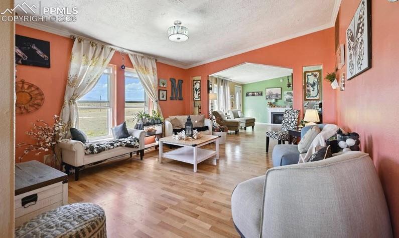 Image 4 of 41: Living Room