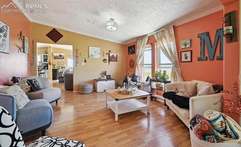 Image 6 of 41: Living Room