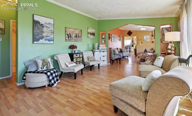 Image 8 of 41: Living Room