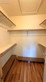 Image 42 of 50: Walk-in closet