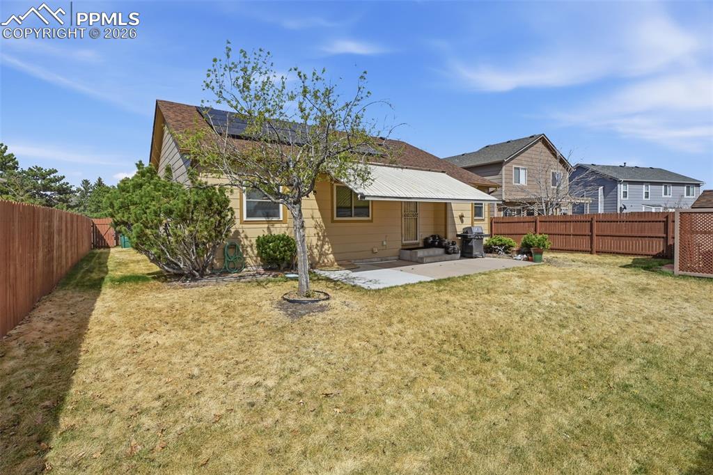 Image 5 of 39: Back of Structure