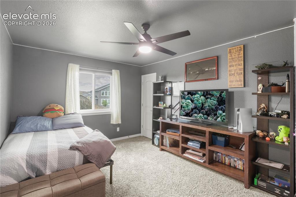 Image 24 of 38: Gray walls with white trim, a large window, a ceiling fan with light fixtur