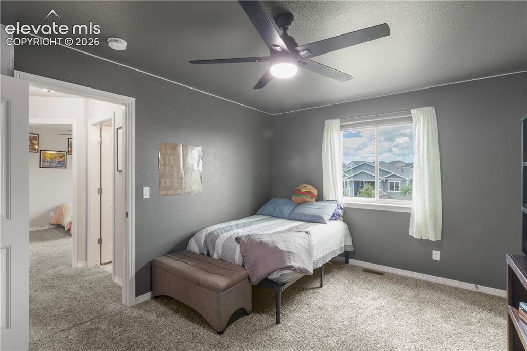 Image 25 of 38: Carpeted room with a ceiling fan, a window, and a white trim