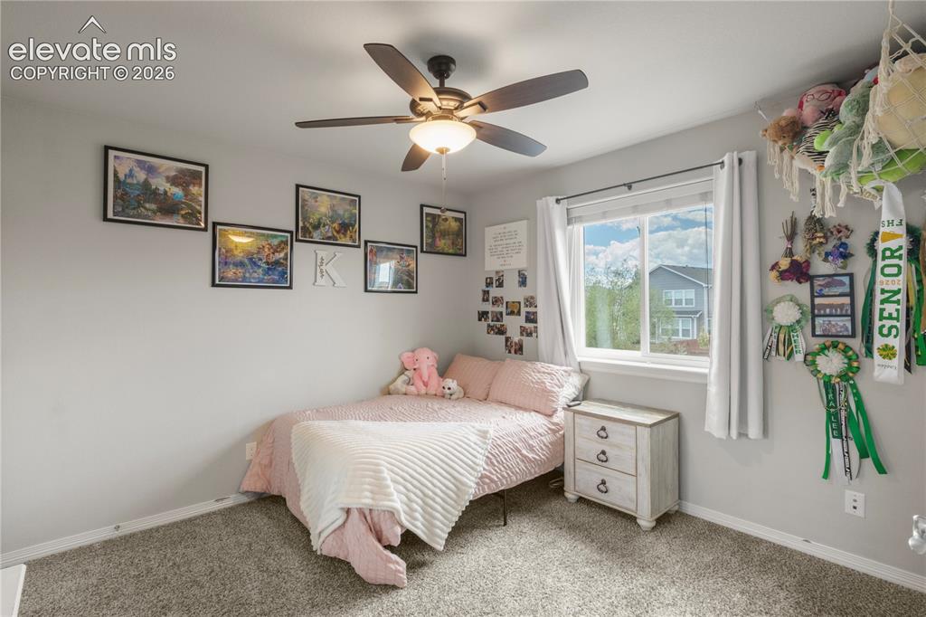Image 28 of 38: Ceiling fan with integrated lighting, wall-to-wall carpeting, single window