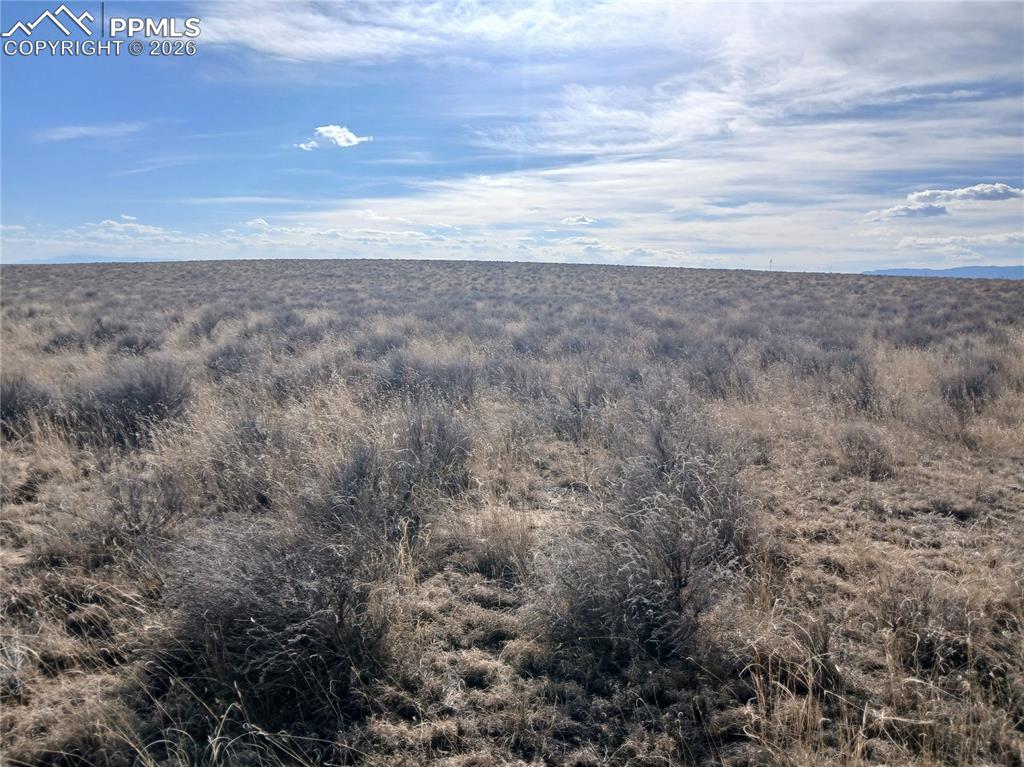 Image 10 of 25: Other