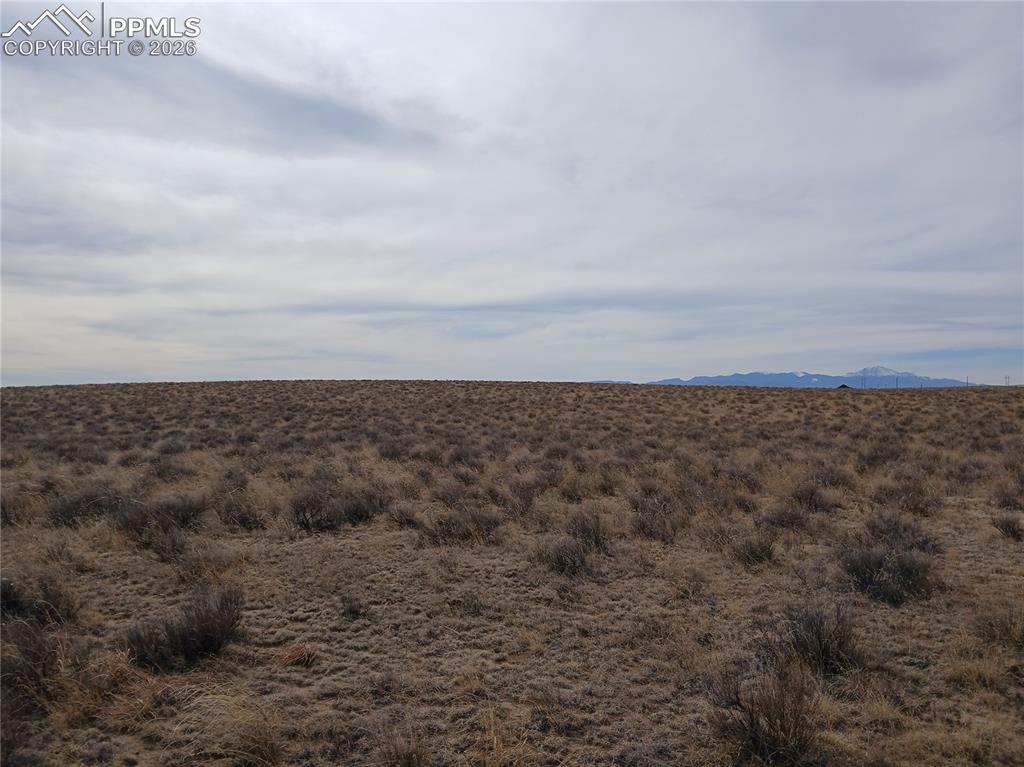 Image 11 of 25: Other