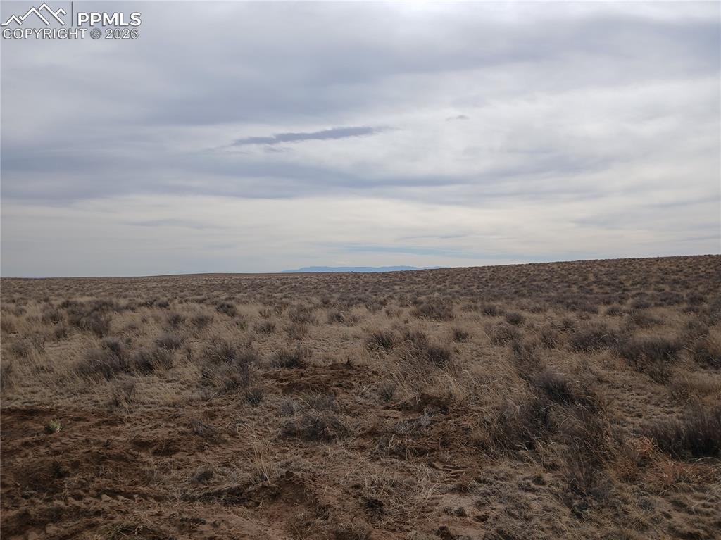 Image 14 of 25: Other