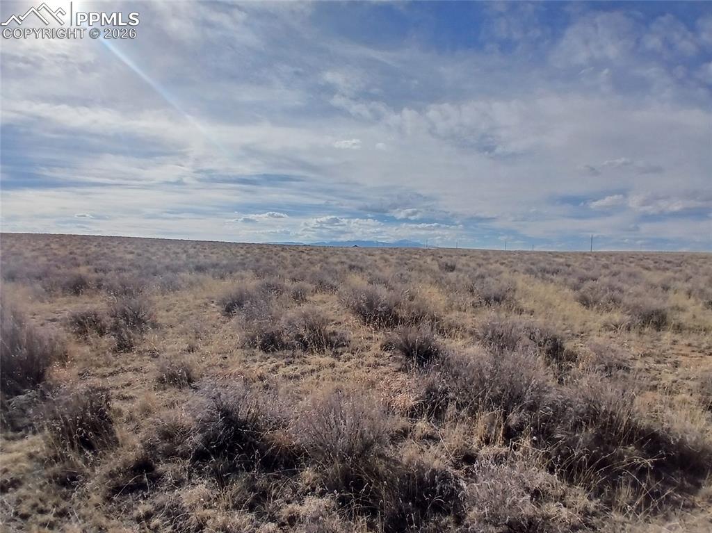 Image 19 of 25: Other