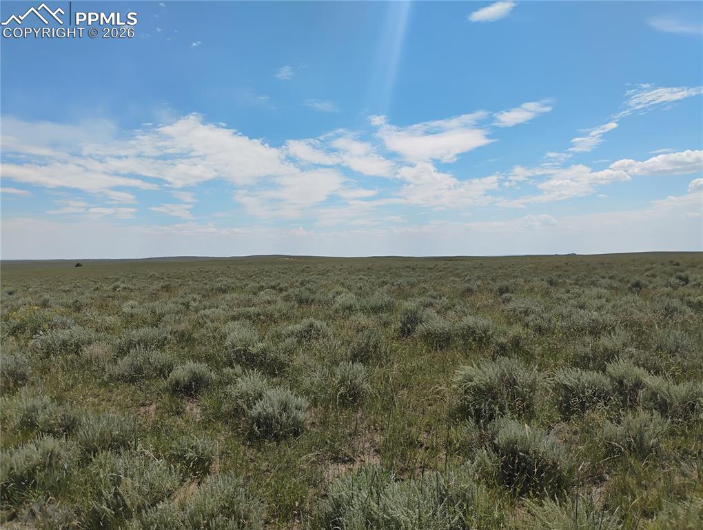 Image 25 of 25: Other