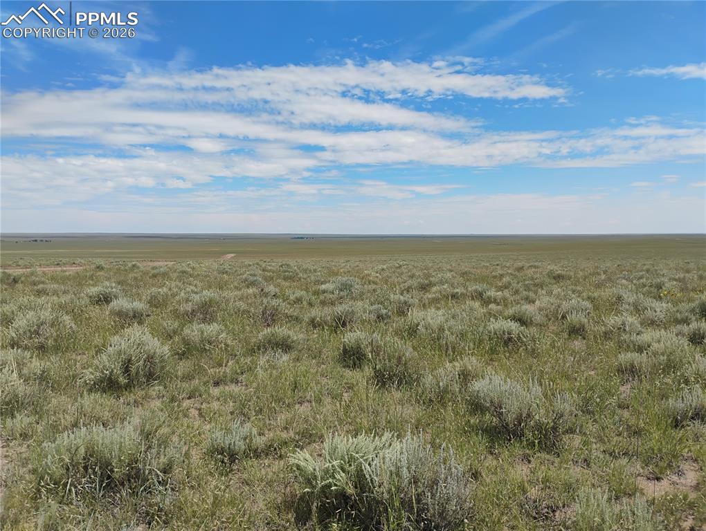 Image 4 of 25: Out Buildings