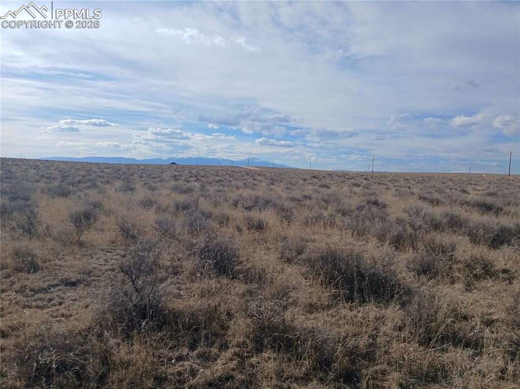 Image 7 of 25: Other