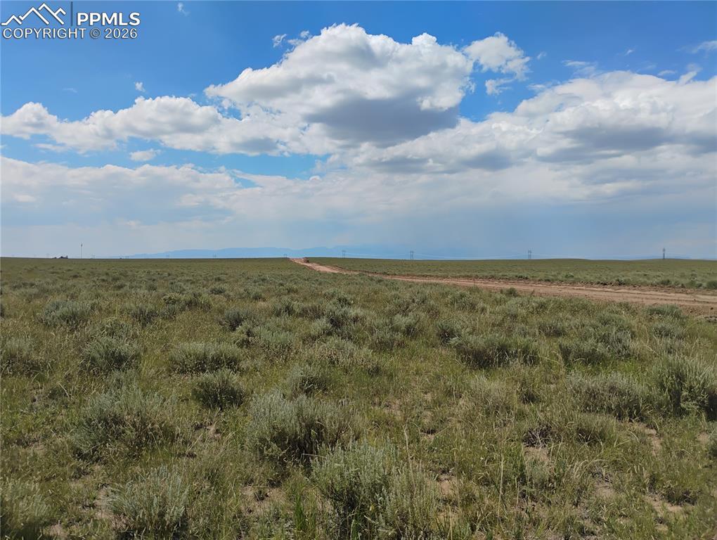 Image 8 of 25: Other