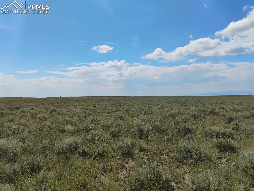 Image 9 of 25: Other