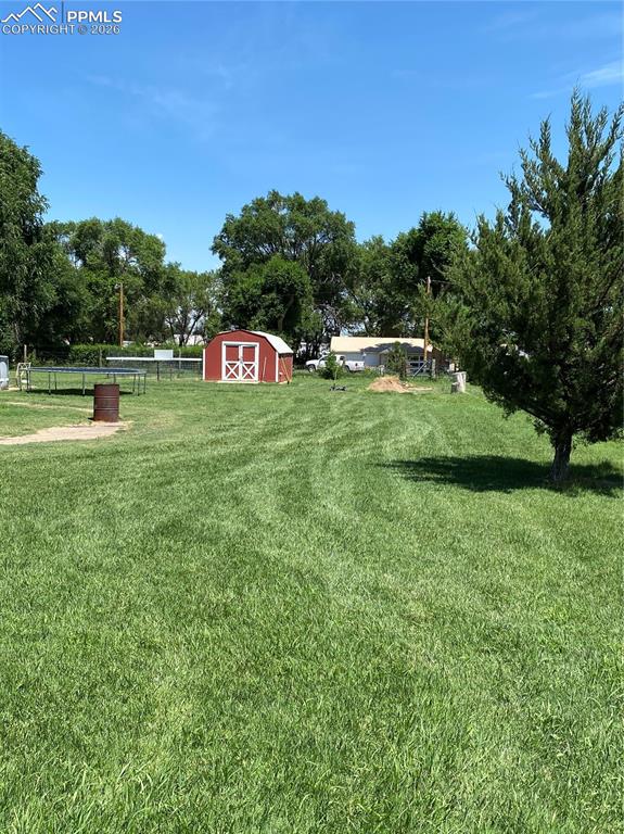 Image 3 of 47: Yard